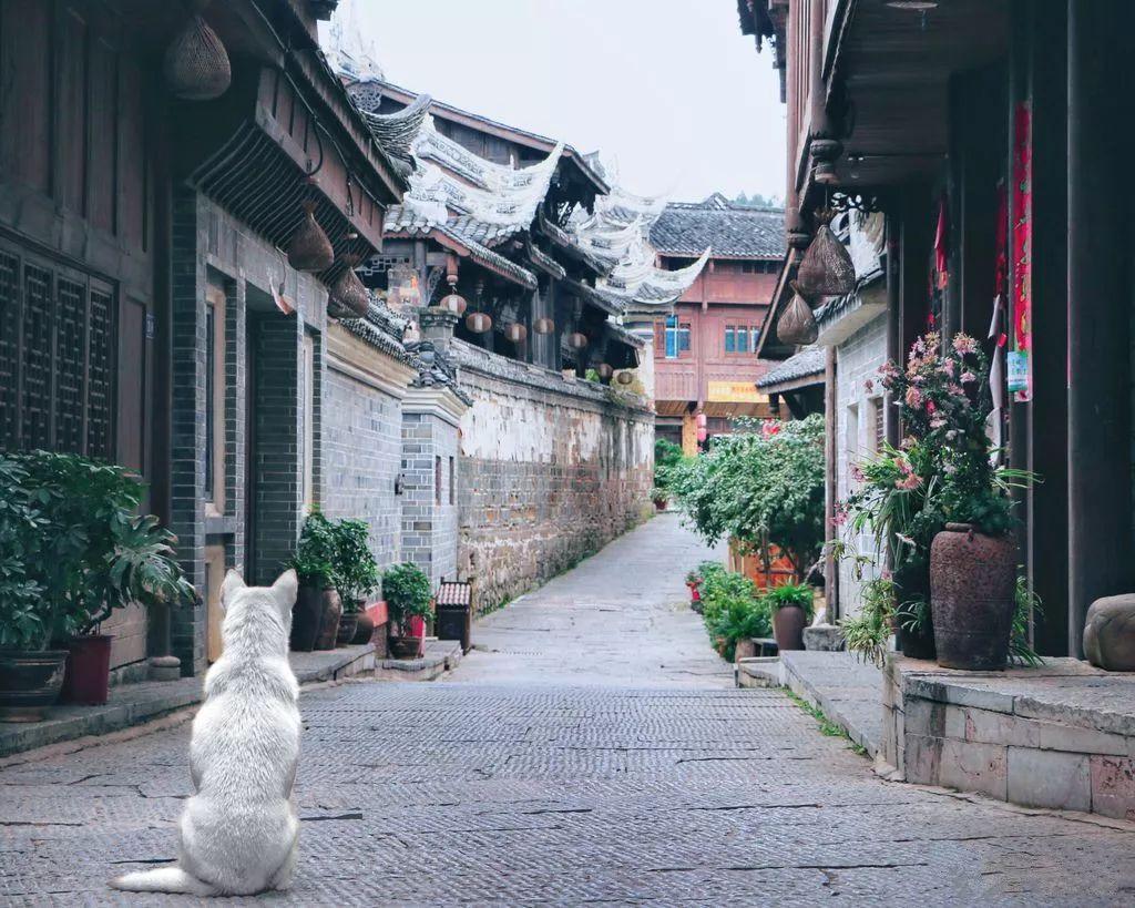88影视
